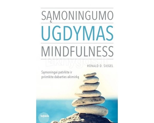 SĄMONINGUMO UGDYMAS. MINDFULNESS. Sąmoningai patirkite ir priimkite dabarties akimirką